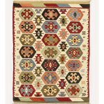 11047 - Anatolian New Rug