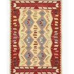 11749 - Anatolian New Rug