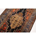 F747 - Hamadan Carpet - Image 2